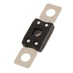 Heavy Duty Fuse 200A - Image 3