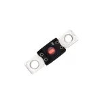 Heavy Duty Fuse 200A