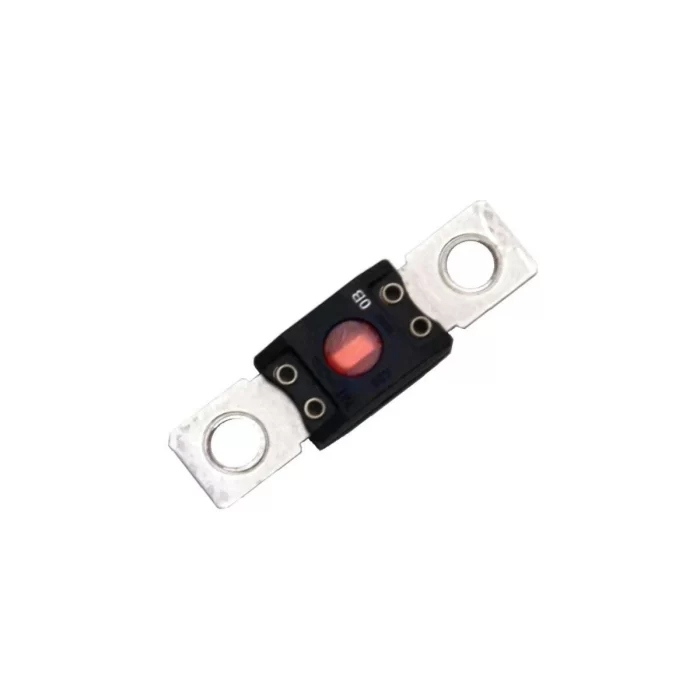 Heavy Duty Fuse 200A - Image 2